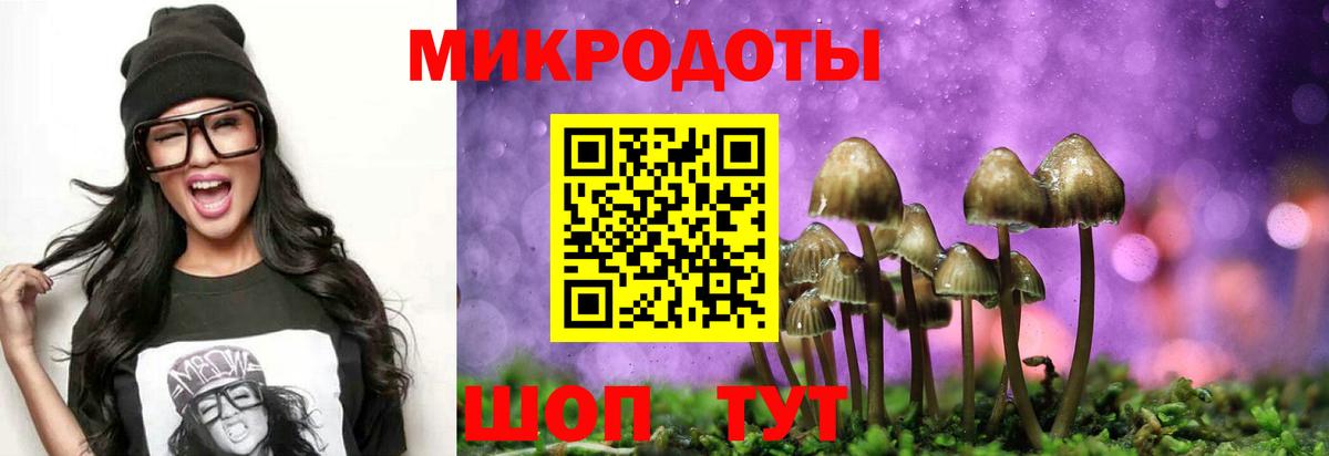 Псилоцибиновые грибы GOLDEN TEACHER Можайск